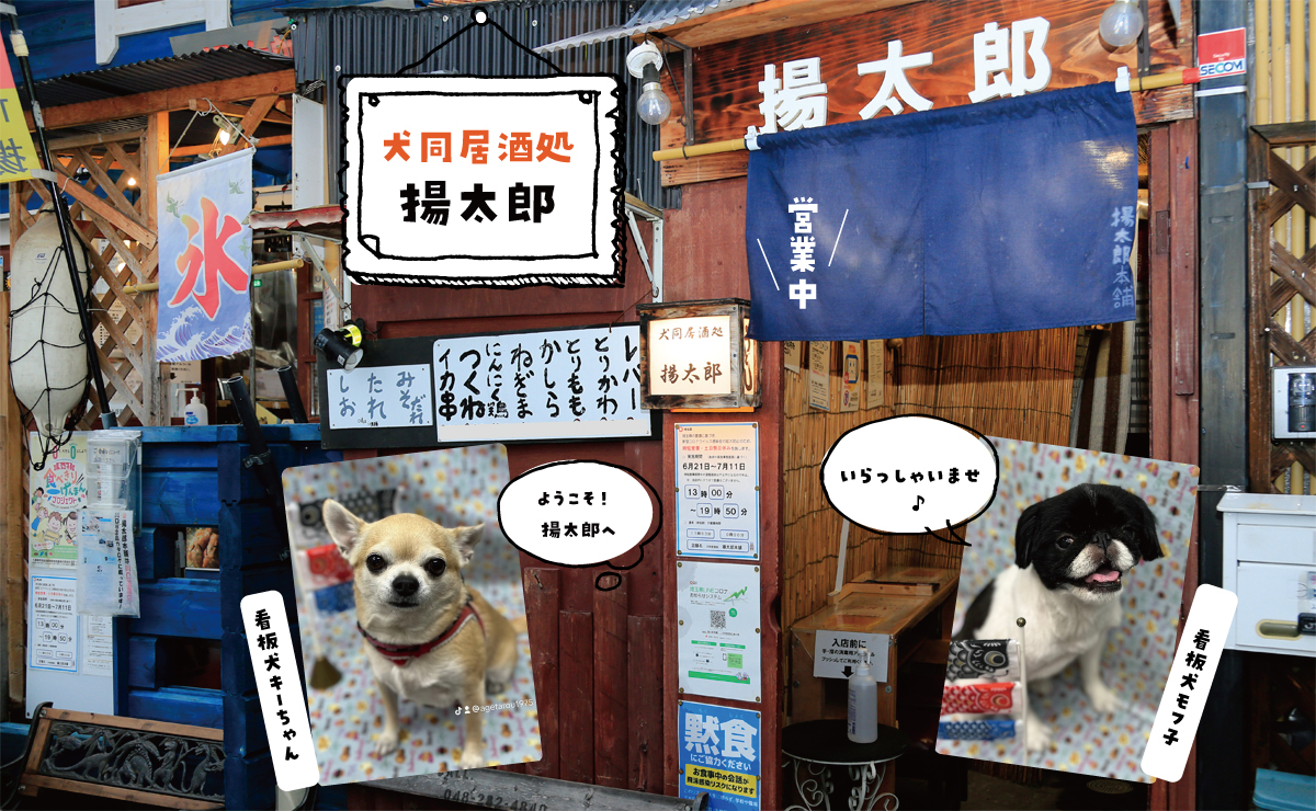 犬同居居酒屋揚太郎